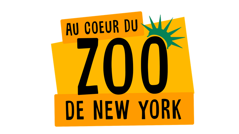 Au cœur du zoo de New York