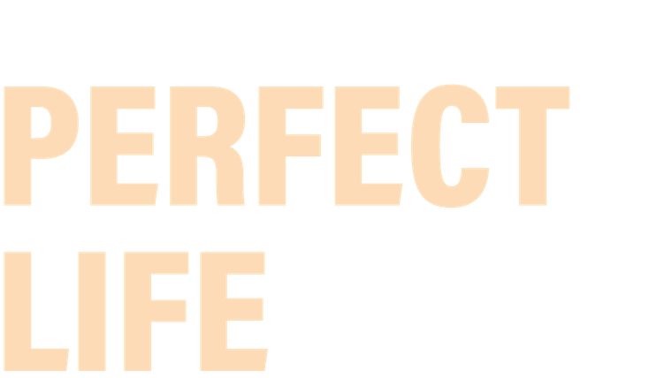 Perfect Life