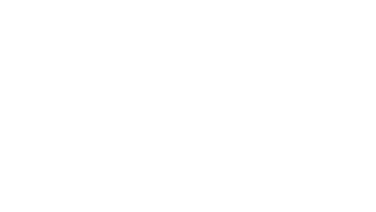 Dupont de Ligonnès, la série