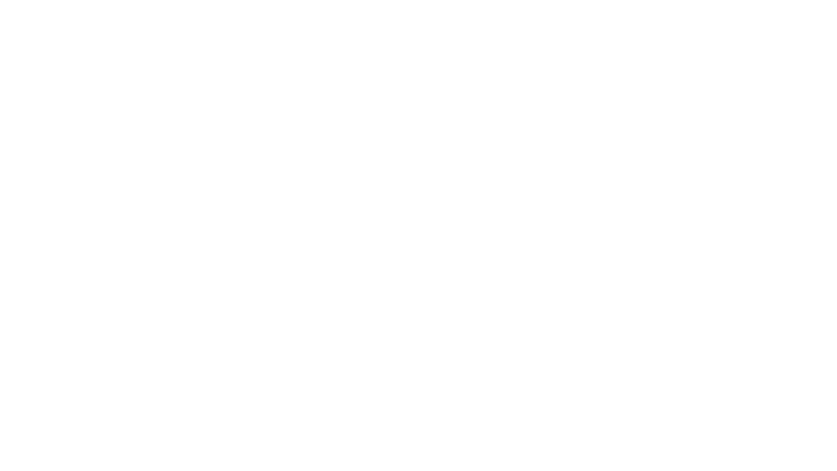 Maestro !