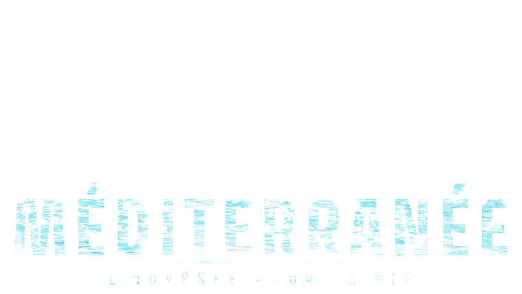Méditerranée, l'odyssée pour la vie