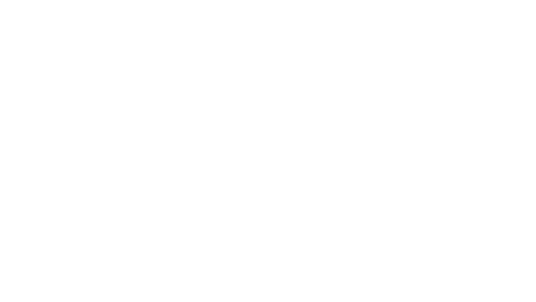 The Last Dance