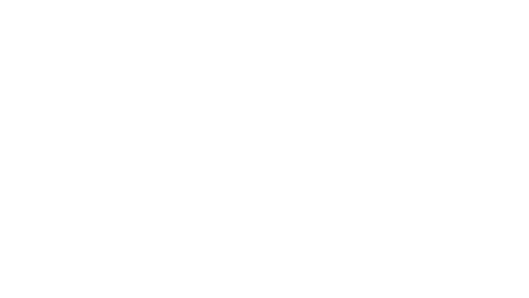 Tokyo Vice