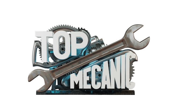 Top Mecanic, 5 jours pour restaurer une épave