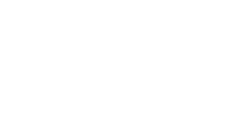 B.R.I