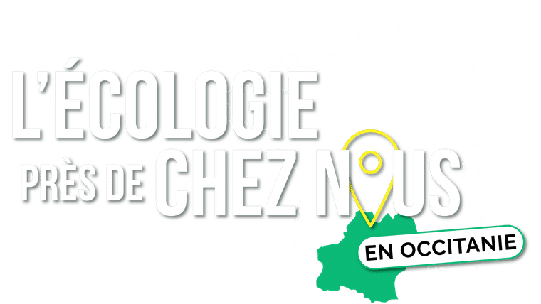 L'écologie près de chez nous