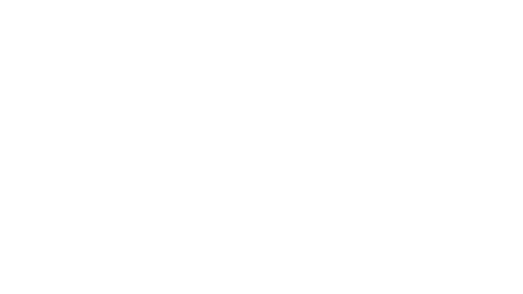 La diplomate