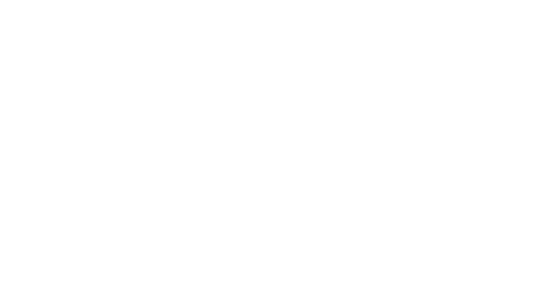 Citadel