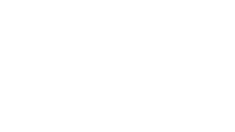 Opérations spéciales : Lioness