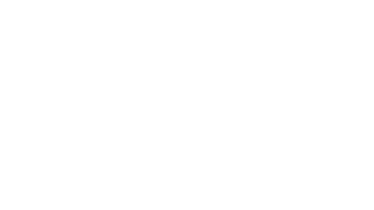 Enterrement de vie de garçon