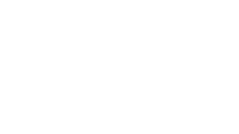 Capitaines de la Coupe du monde