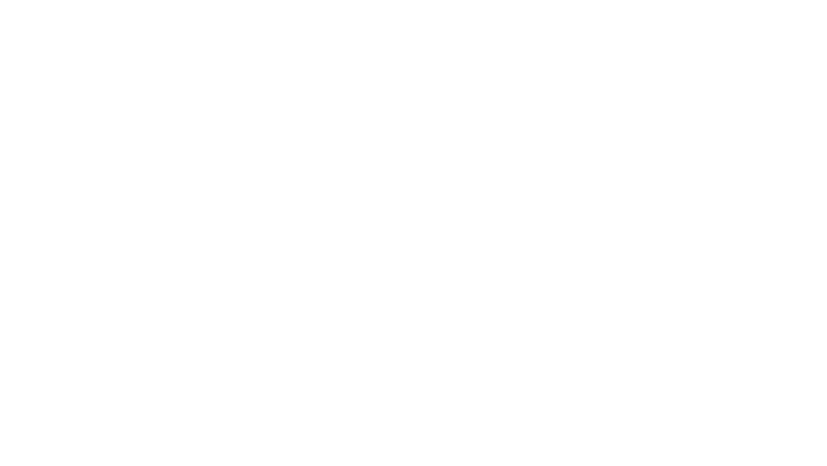 L'agence aux 1000 mariages