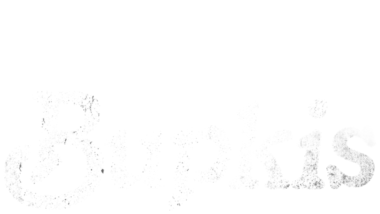 Bupkis