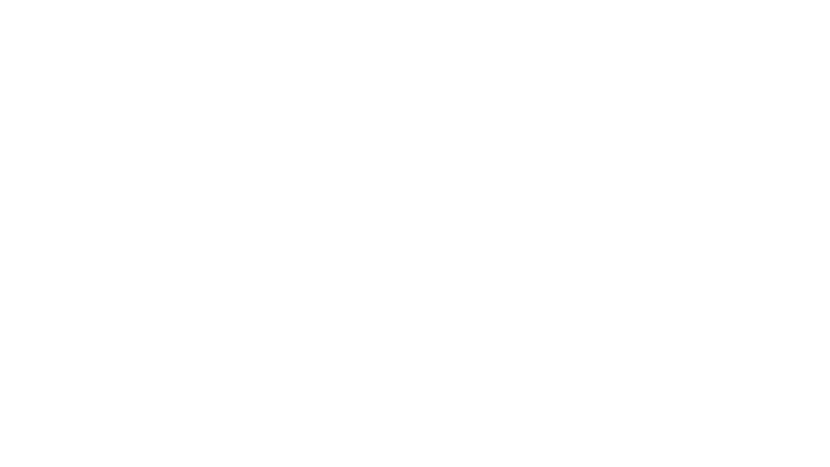 The Woman in the Wall