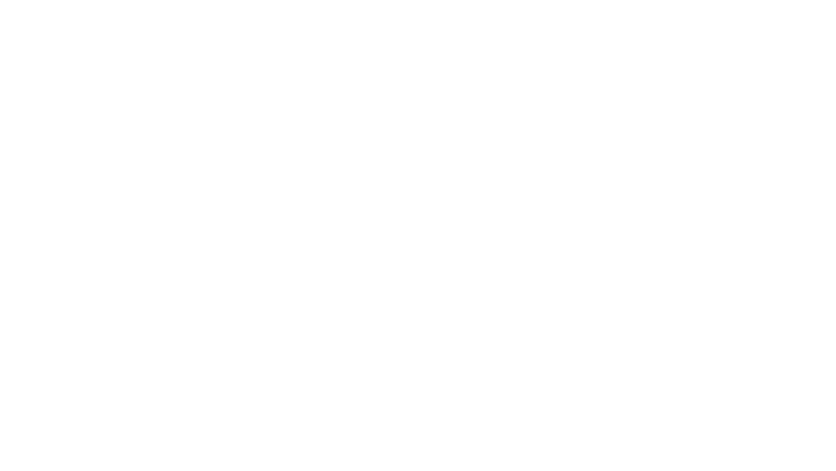 Los mil dias de Allende