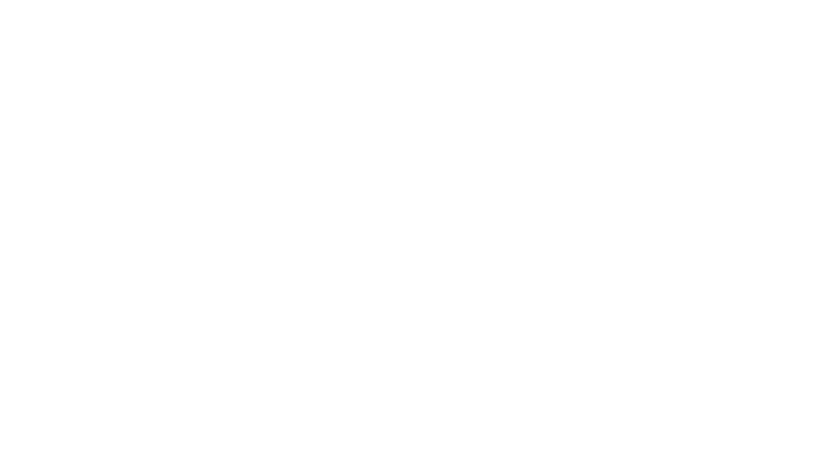 La saga Wingfeather