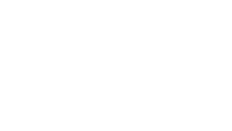 Little Bird
