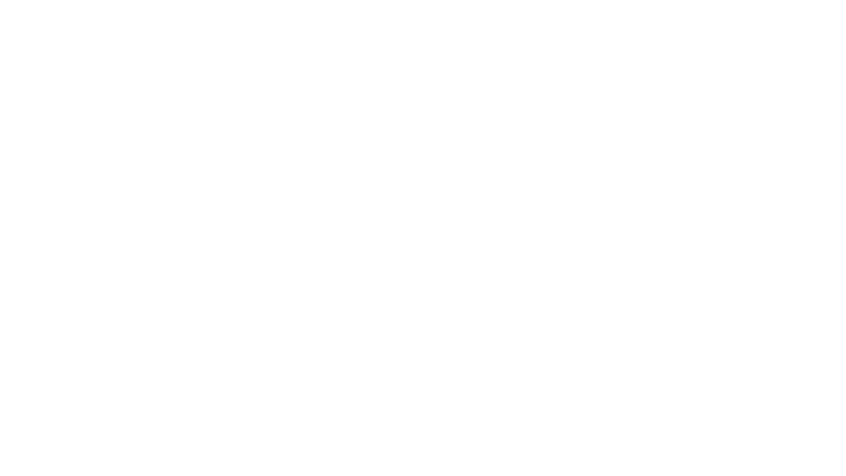D.I. Ray