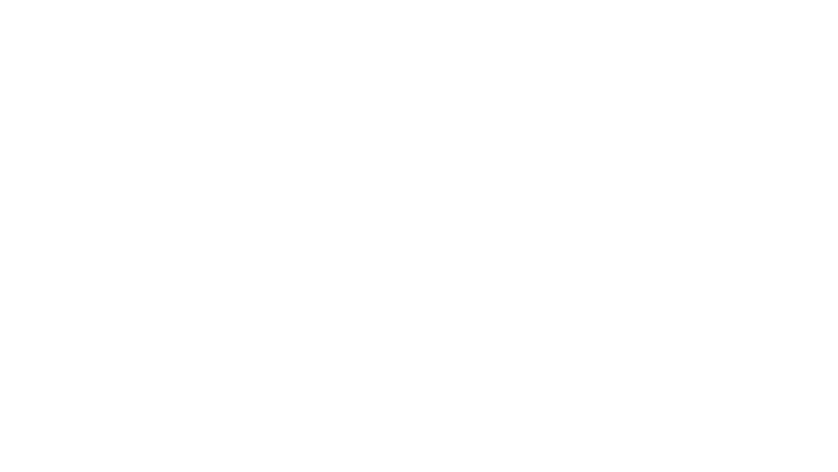 The Fortress