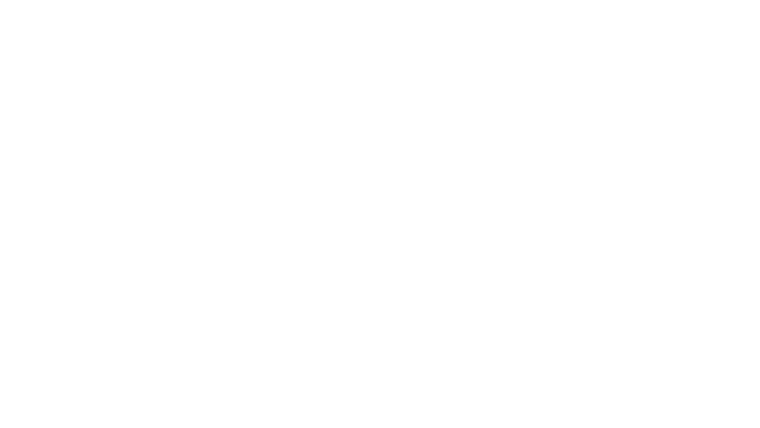 The Fortress