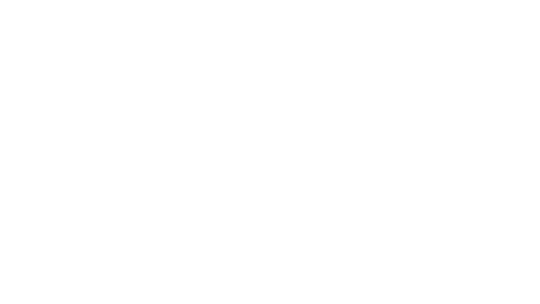 Ligue 1 : Review