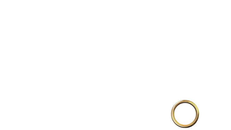 Le Golden Bachelor
