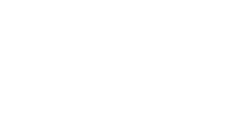 Nightsleeper