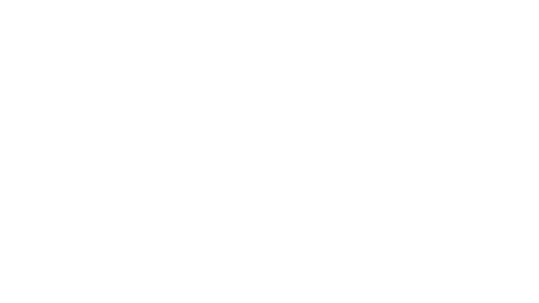 La diplomate