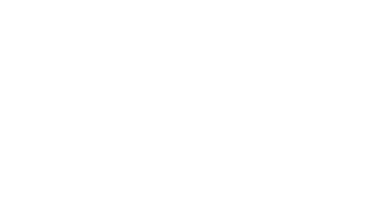 Les rois des colis perdus