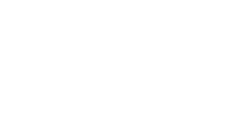 Max Verstappen : Anatomie d'un champion