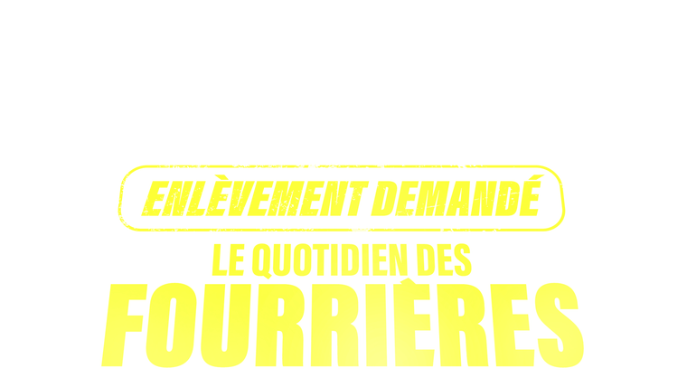Enlèvement demandé : le quotidien des fourrières