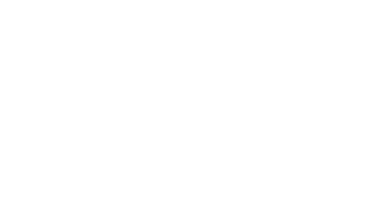 L'Artiste portraitiste de l'année