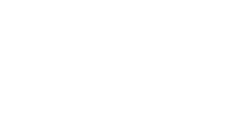Boonie Bears : frénésie de la forêt