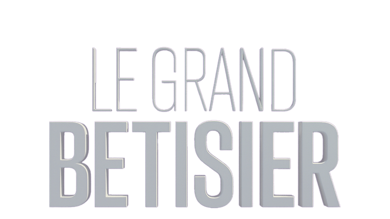 Le grand bêtisier
