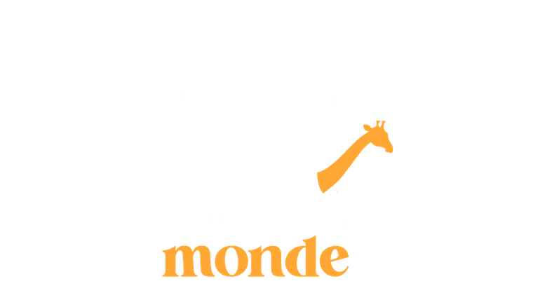 Au cœur du zoo le plus beau du monde