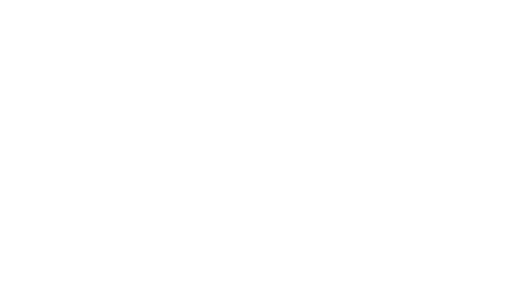 Champs-Elysées : j'ai vu défiler le monde