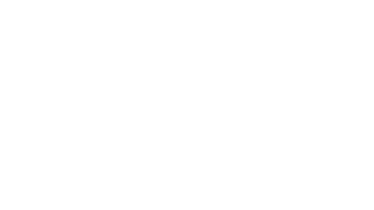 Le Président foudroyé