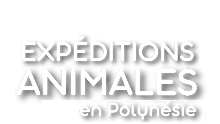 Expéditions animales en Polynésie