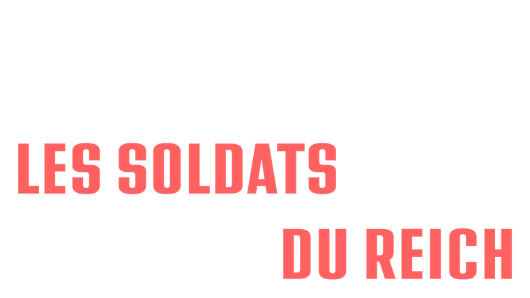 Les soldats français du Reich