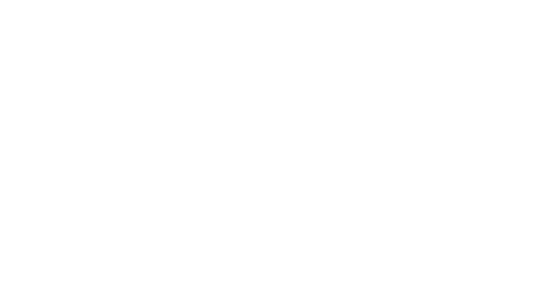 Paris Police 1910