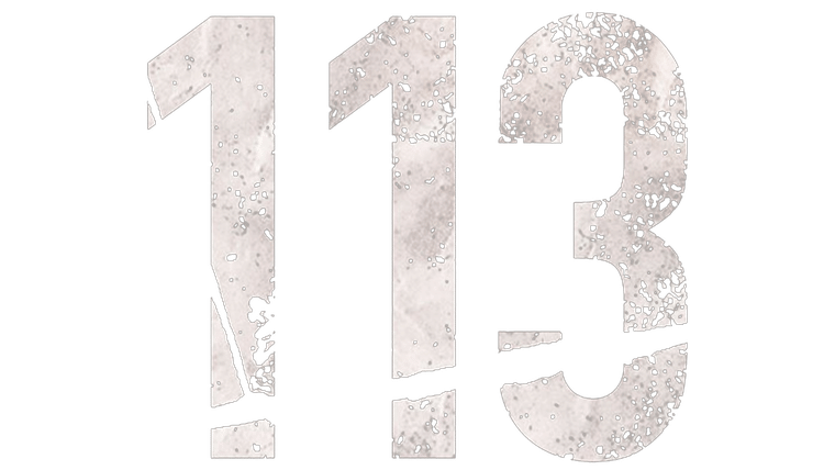 113