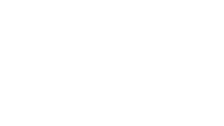 Histoire de champions rugby