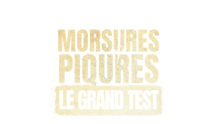 Morsures et piqûres : le grand test