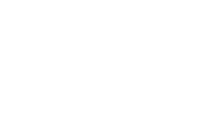 The Game
