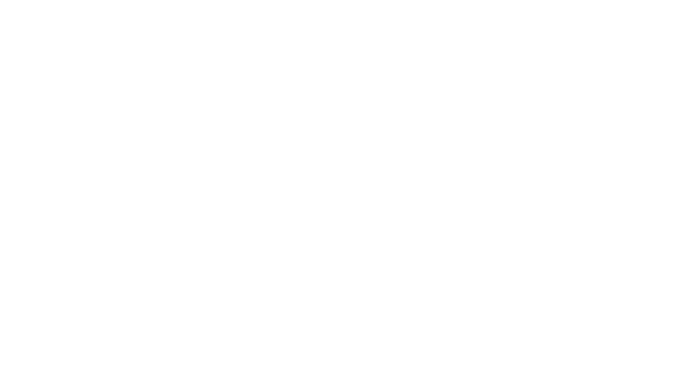 Nemesis