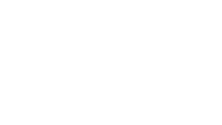 Les vrais experts : Miami