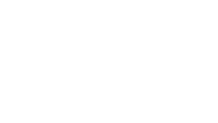 Les Groos