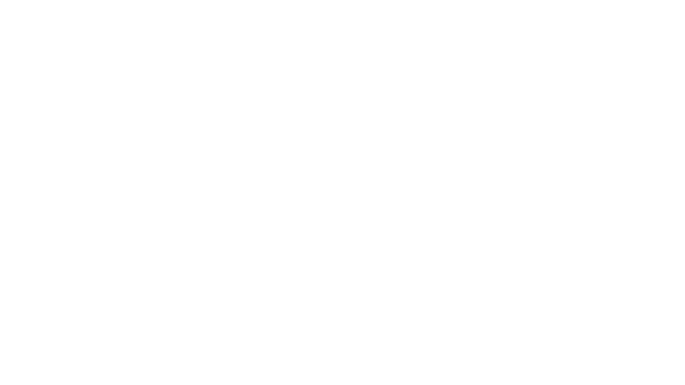 The Girls on the Bus
