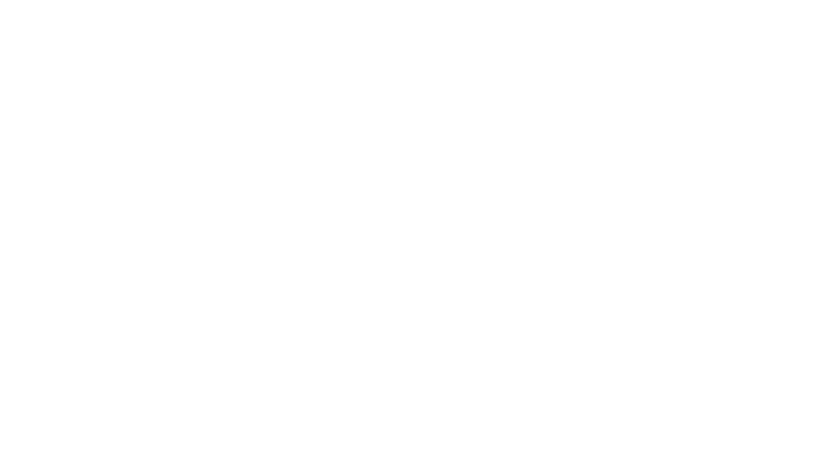 The Flight Attendant