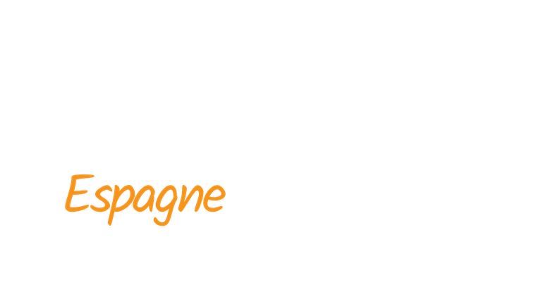 Au cœur des douanes : Espagne